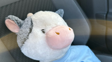 Volkswagen Polo 1.0 TSI 95 R-Line 5dr Petrol Hatchback